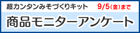 商品モニターアンケート